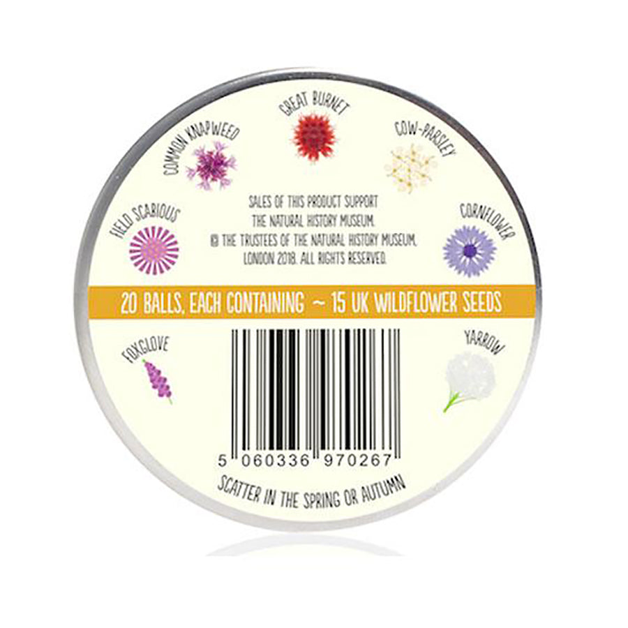 SeedBall - Beetle mix