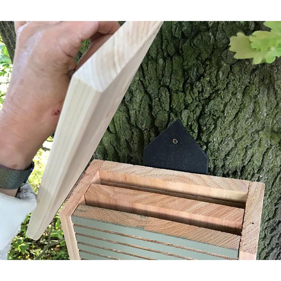 Conservation Bat Box