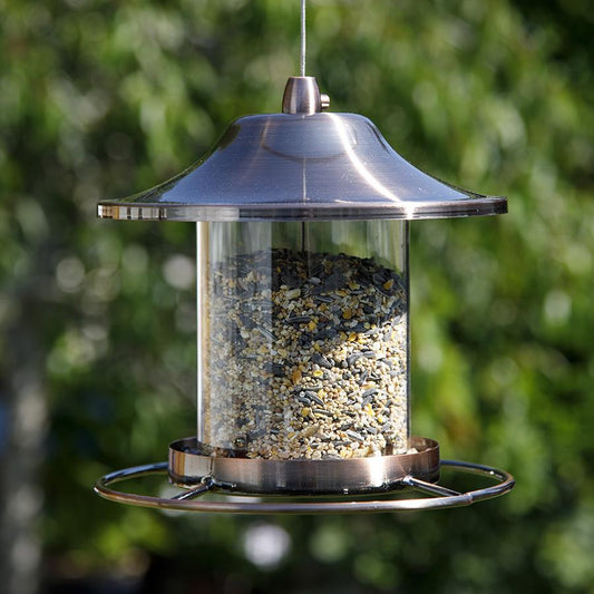 Golden Lantern Feeder