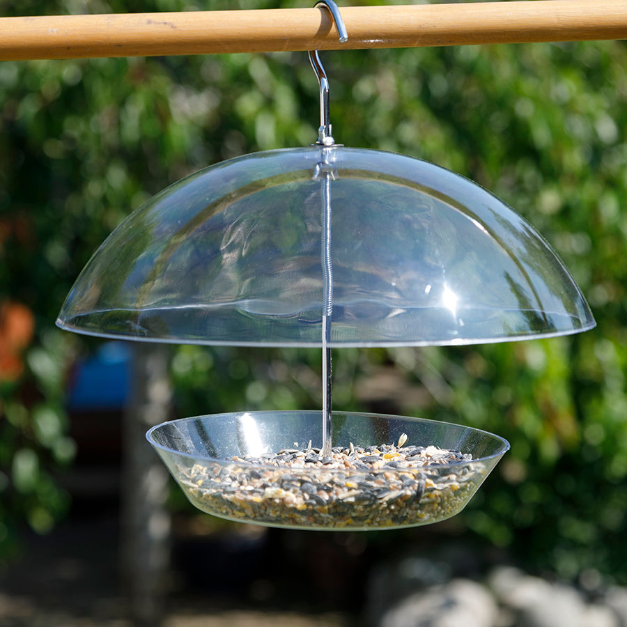  Window Bird Feeder Kit - Clear Bird Feeders to Make