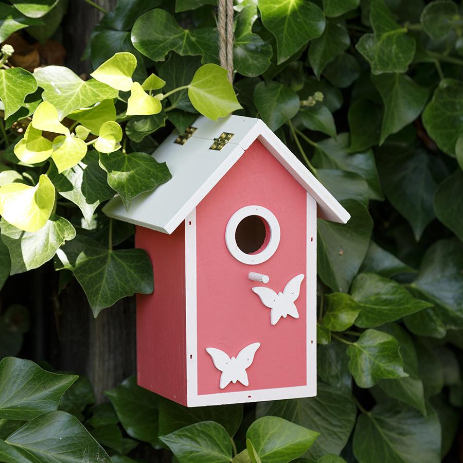 Kids Fun Bird Box Available in Blue and Pink