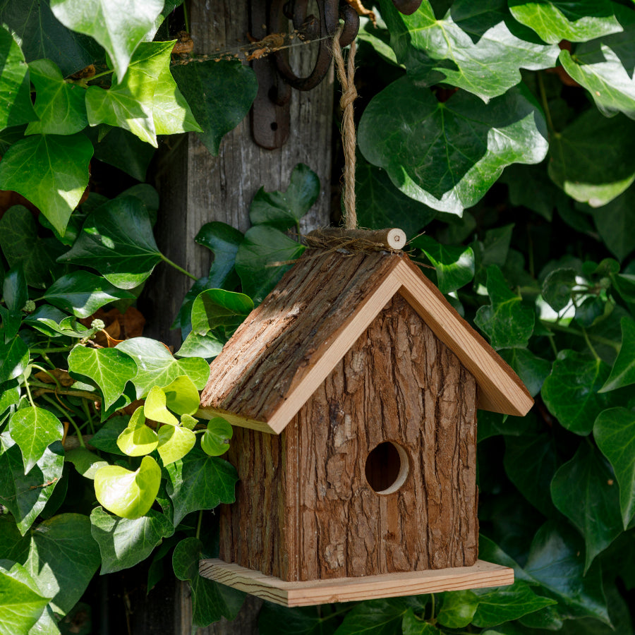 The Cabin Bird Box