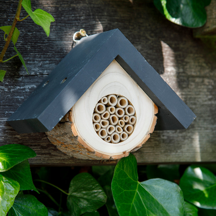 The Honeycomb Solitary Bee Hive