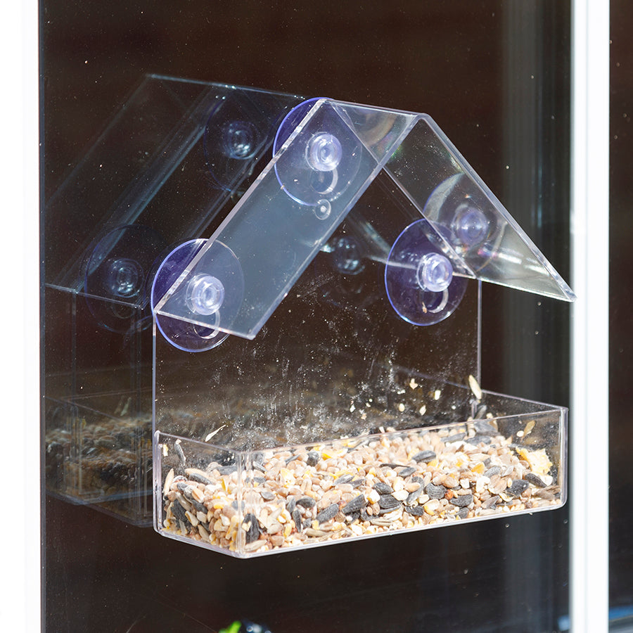 Clear Window Bird Feeder