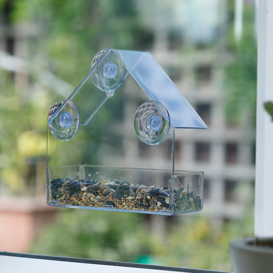 Clear Window Bird Feeder