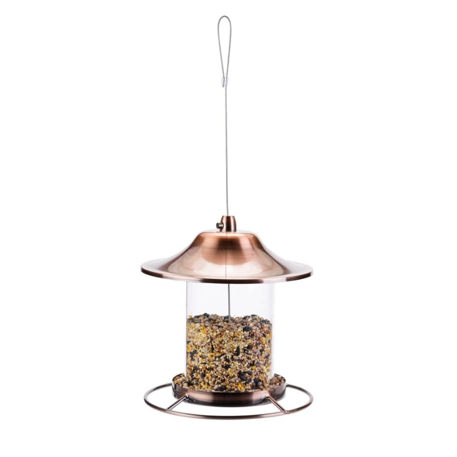 Golden Lantern Feeder