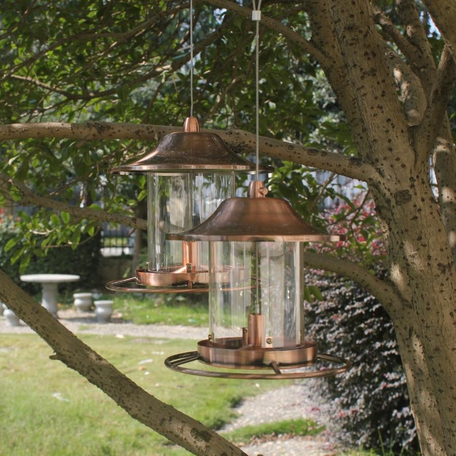 Golden Lantern Feeder