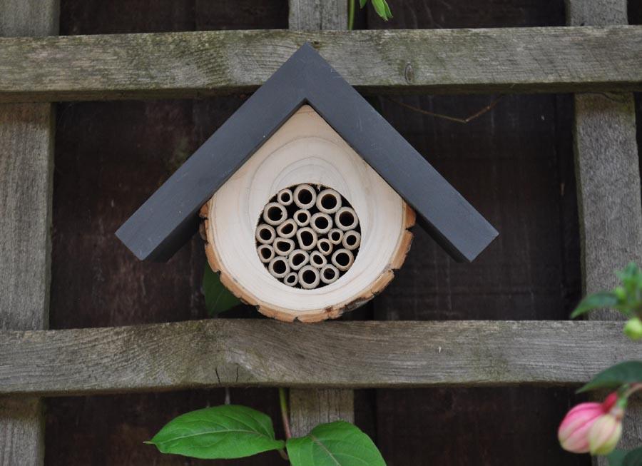 The Honeycomb Solitary Bee Hive