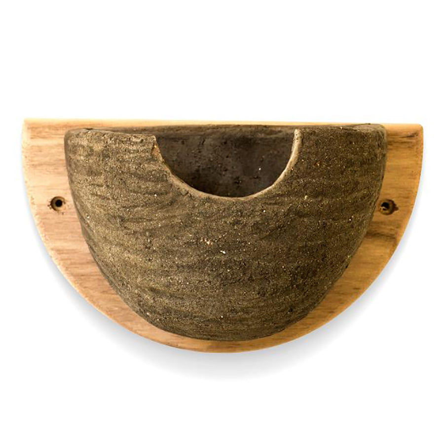 House Martin Bowl