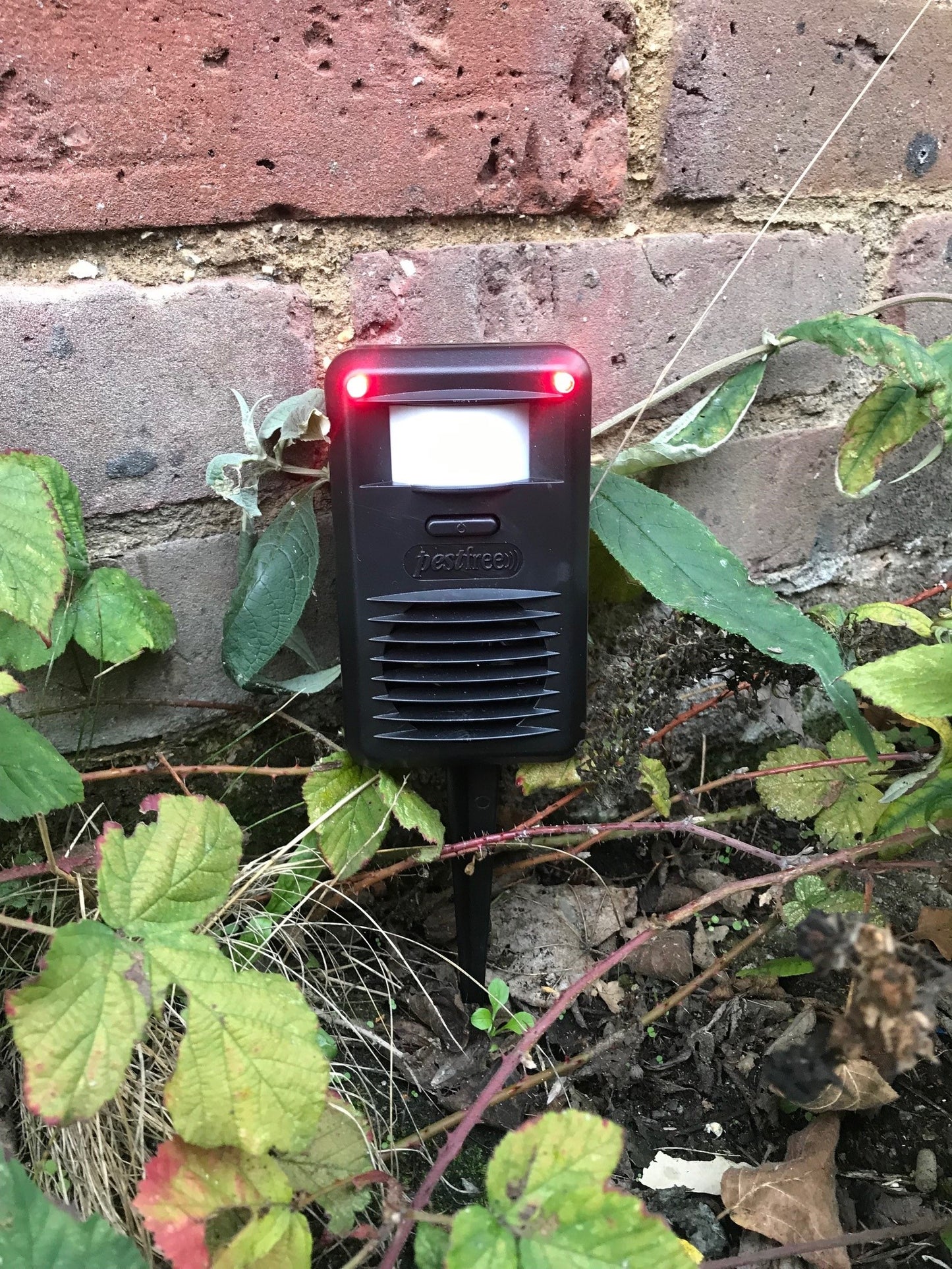 PESTFree+ Ultrasonic Pest Deterrent