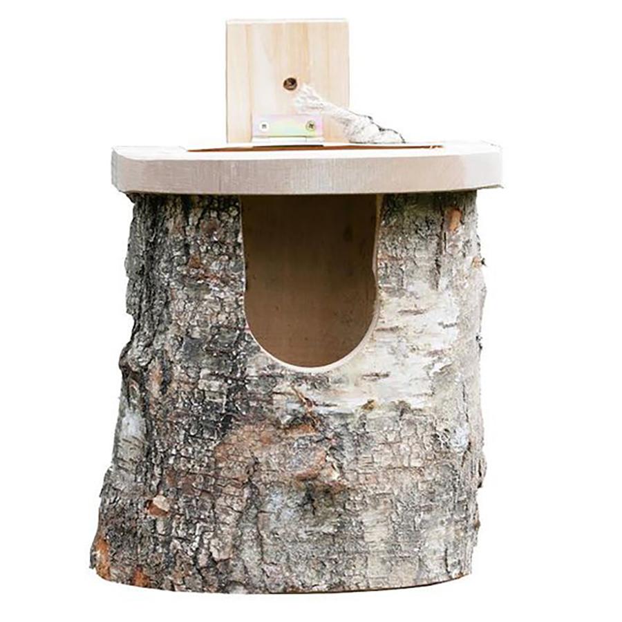 Natural Log Robin Nester