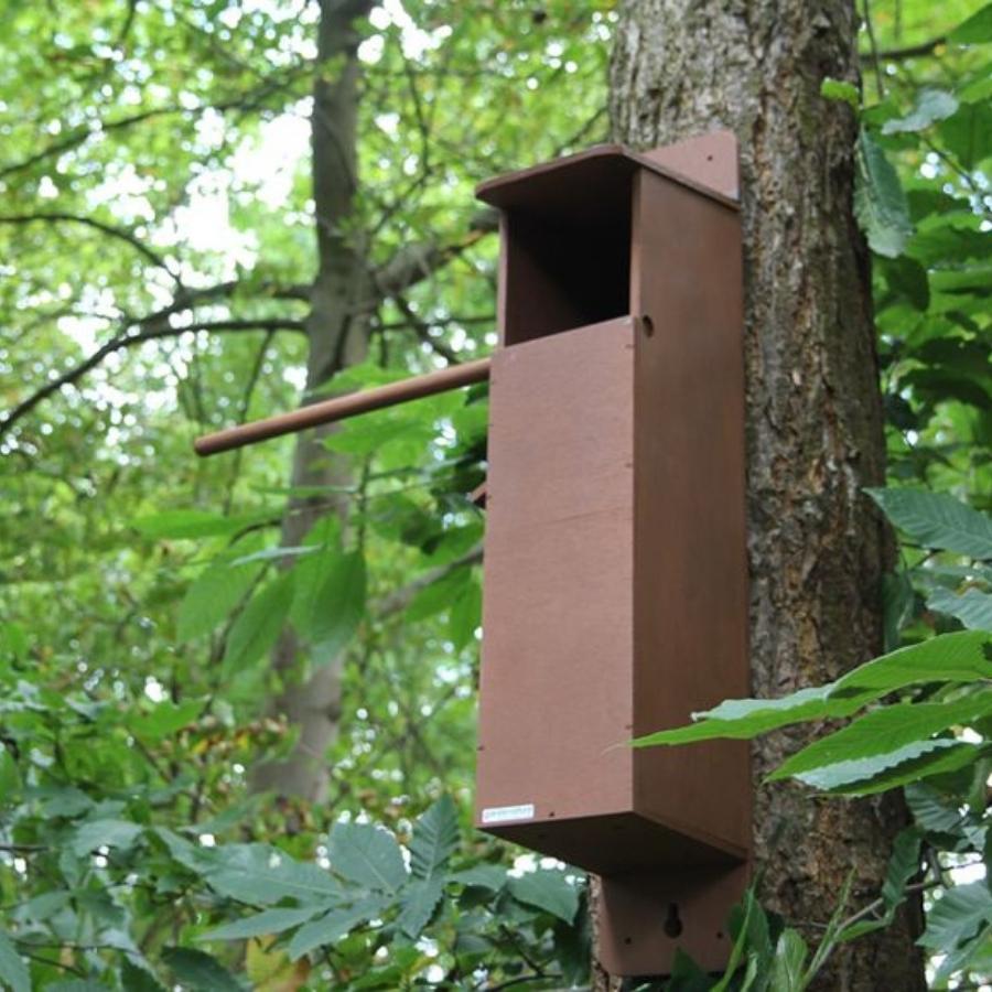 Tawny Owl Box