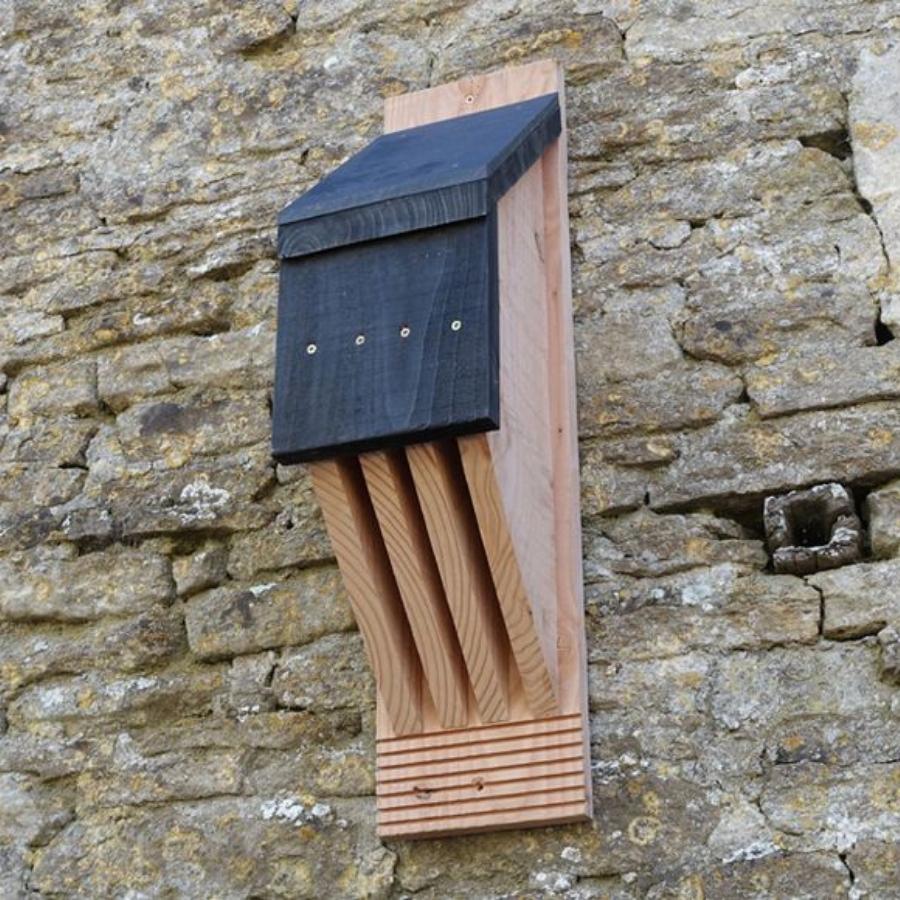 Vincent Bat Box