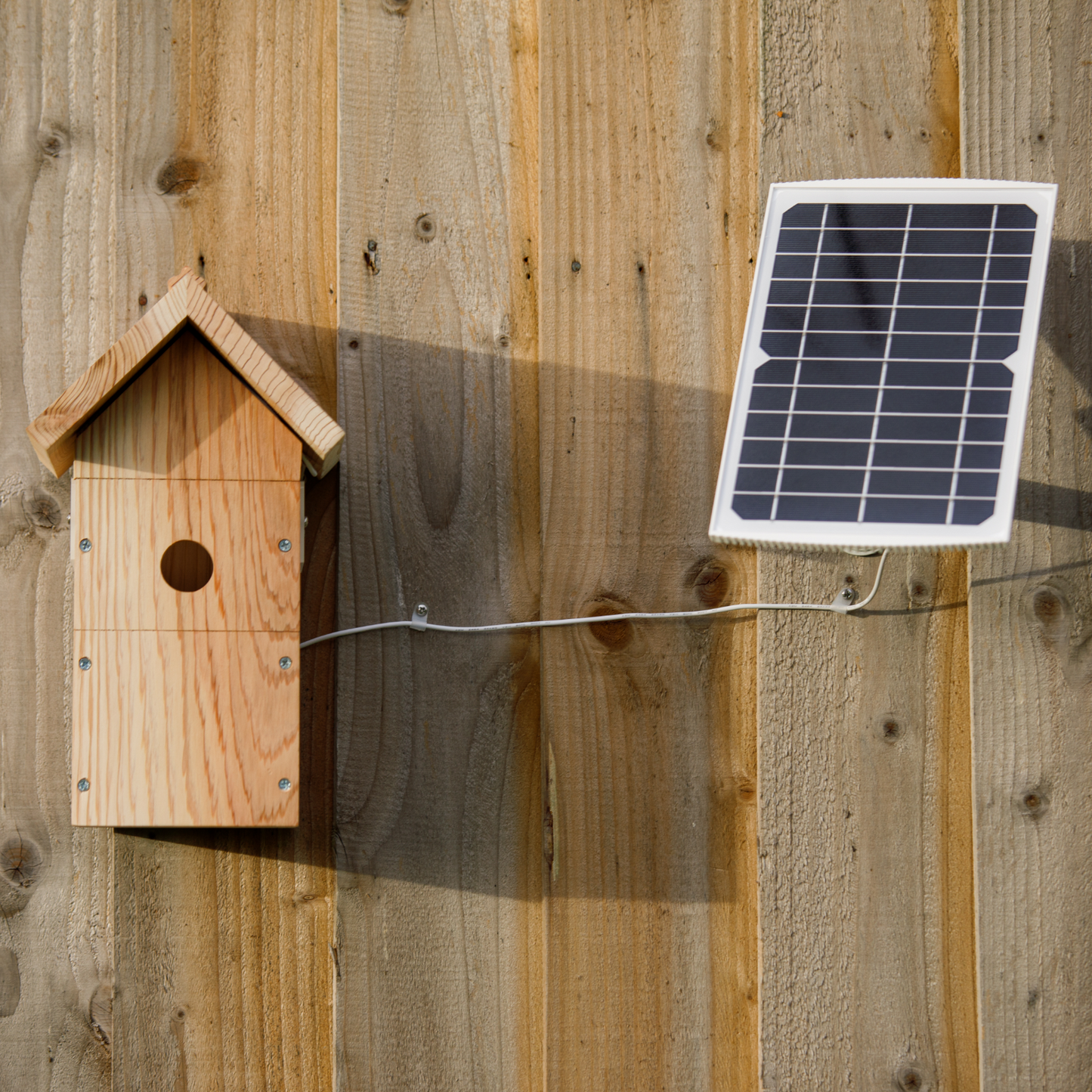 Solar Powered Battery WiFi Bird Box Camera System