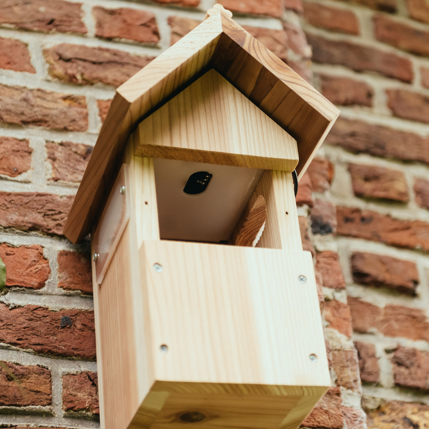 WiFi Bird Box Camera System