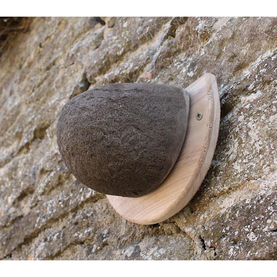 Swallow Nesting Bowl