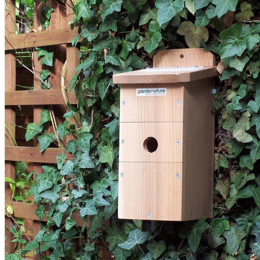 Flat Roof Bird Box