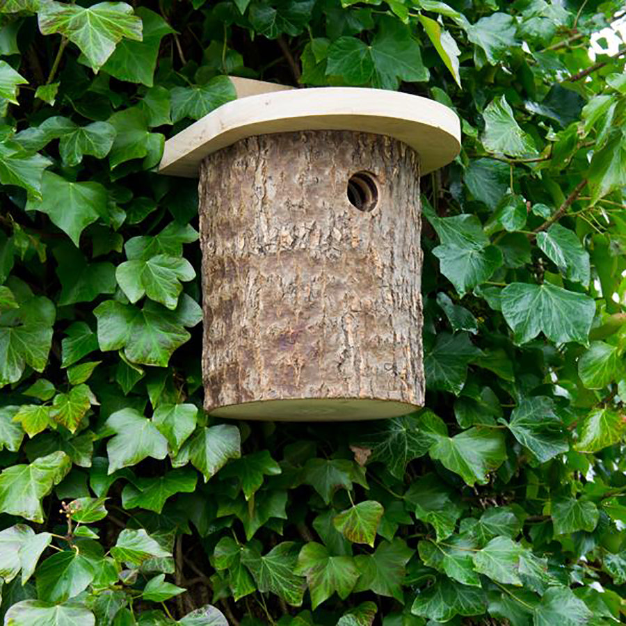 Natural Log Tit Box