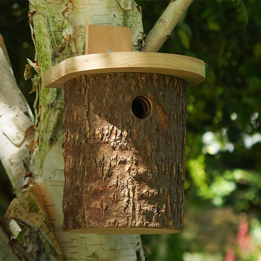 Natural Log Tit Box