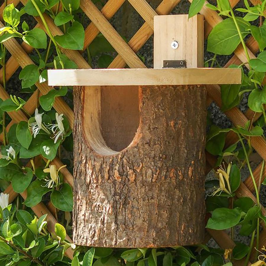 Natural Log Robin Nester