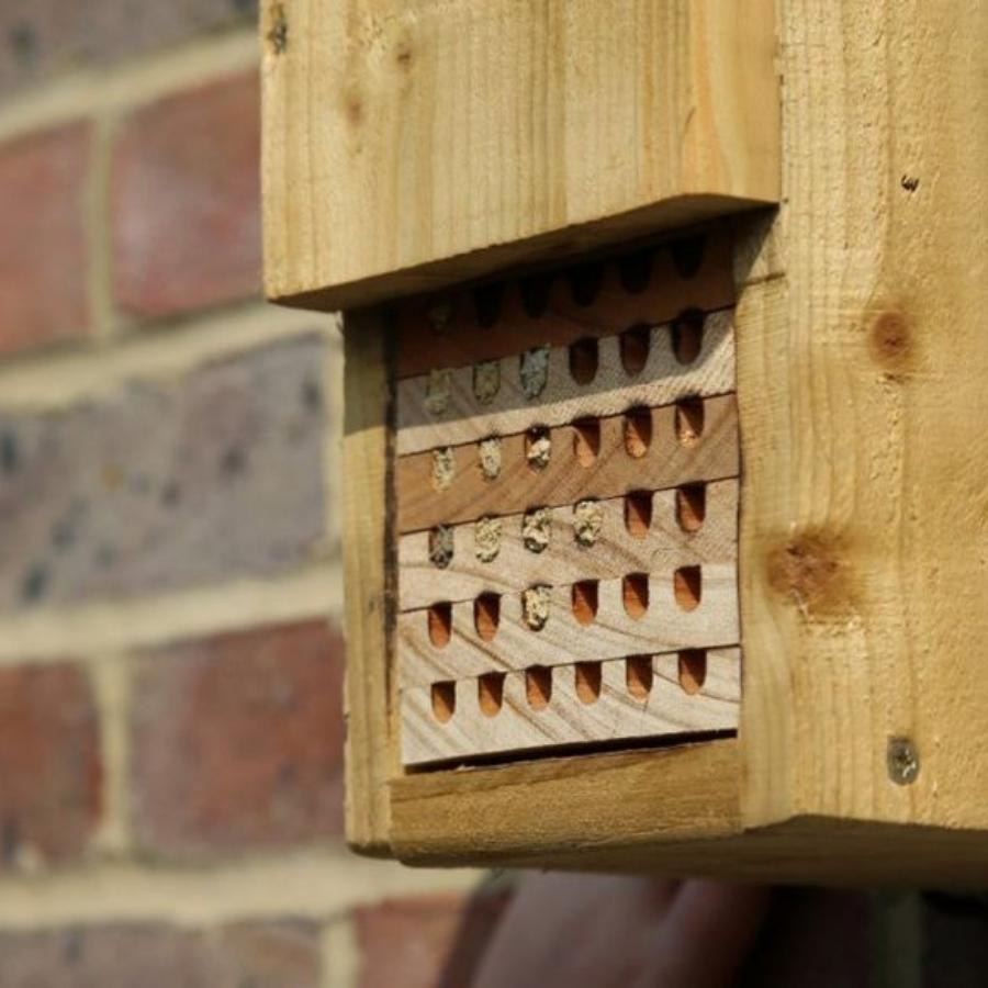 Solitary Beehive Box