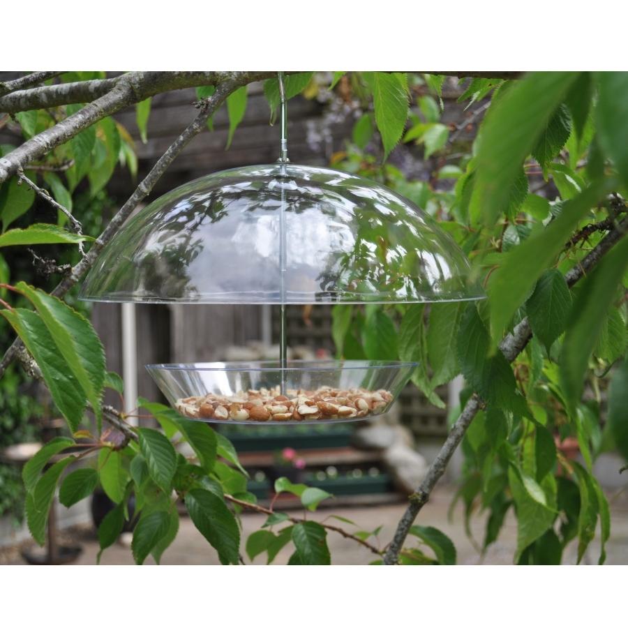 Clear Umbrella Bird Feeder