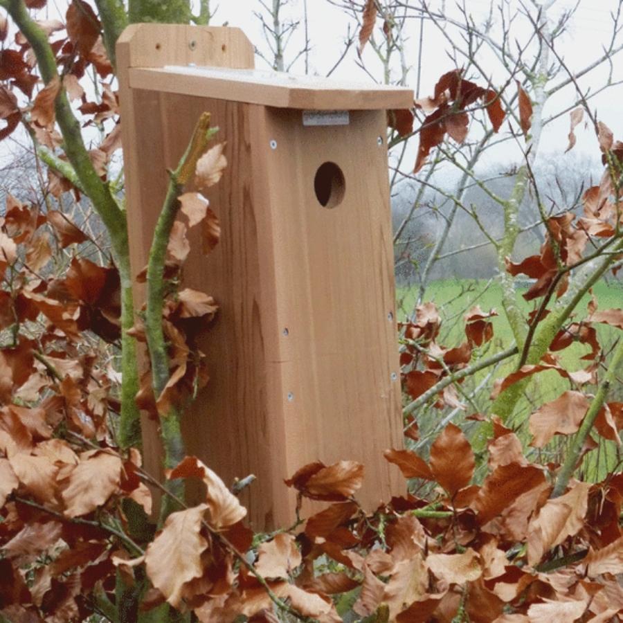 Woodpecker Nest Box