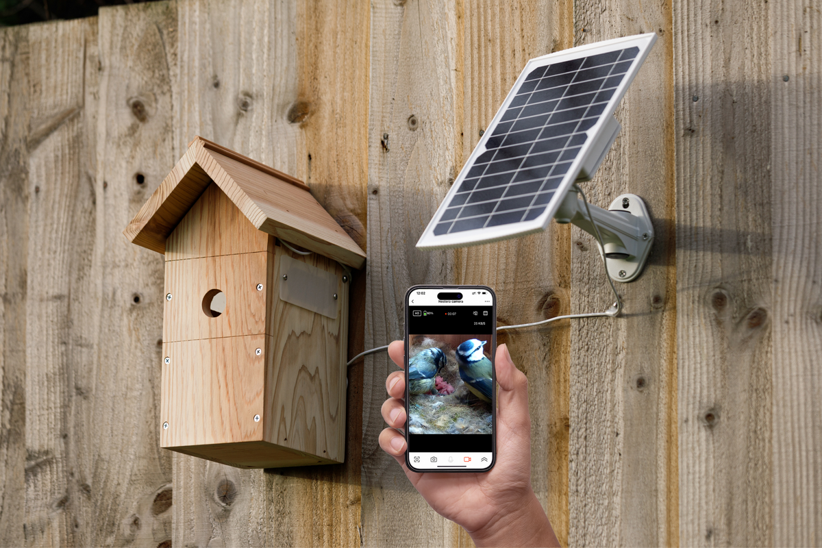 Solar-Powered WiFi Bird Box Camera System | Gardenature