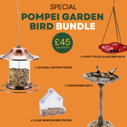 Pompeii Garden Bird Bundle