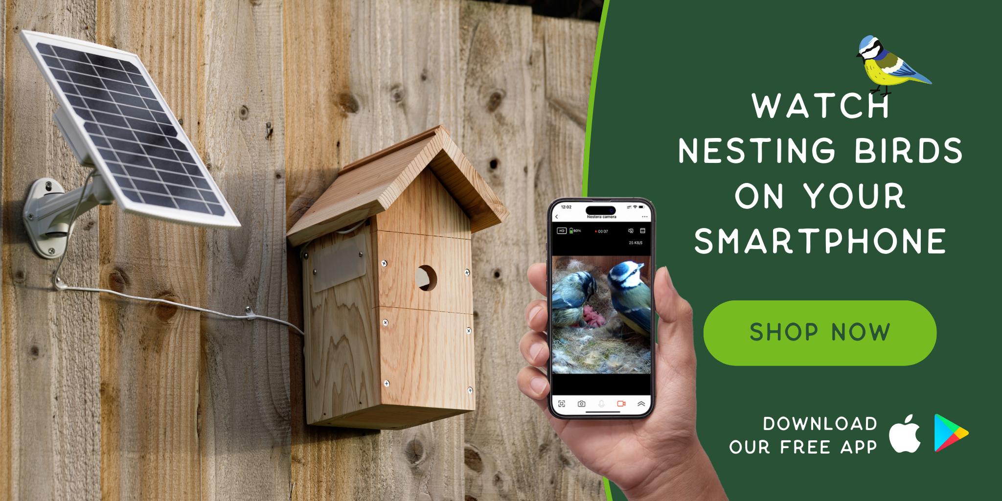 Aldi bird box deals camera