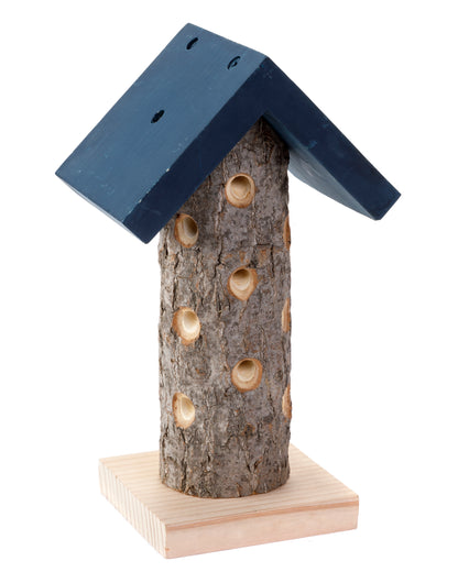 Bird Lovers Bundle - The perfect kit bring birds in your Garden