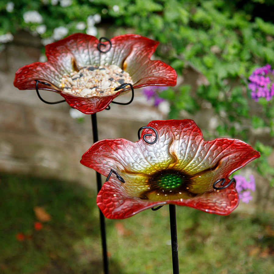 Bird Lovers Bundle - The perfect kit bring birds in your Garden