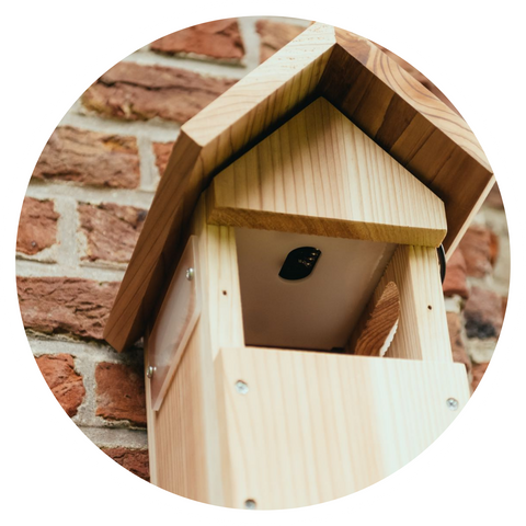 Solar-Powered WiFi Bird Box Camera System Gardenature
