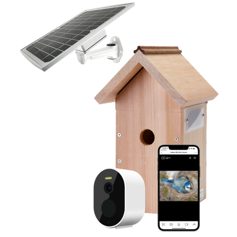 Solar-Powered WiFi Bird Box Camera System Gardenature