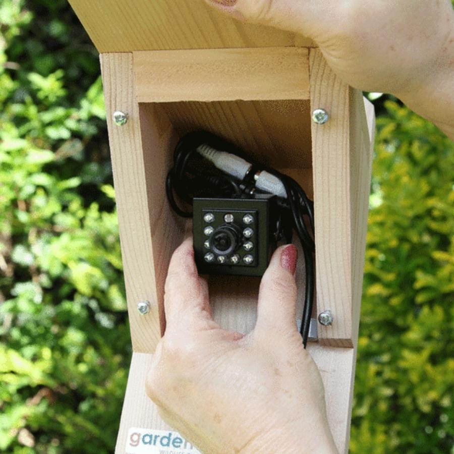 digital bird box camera