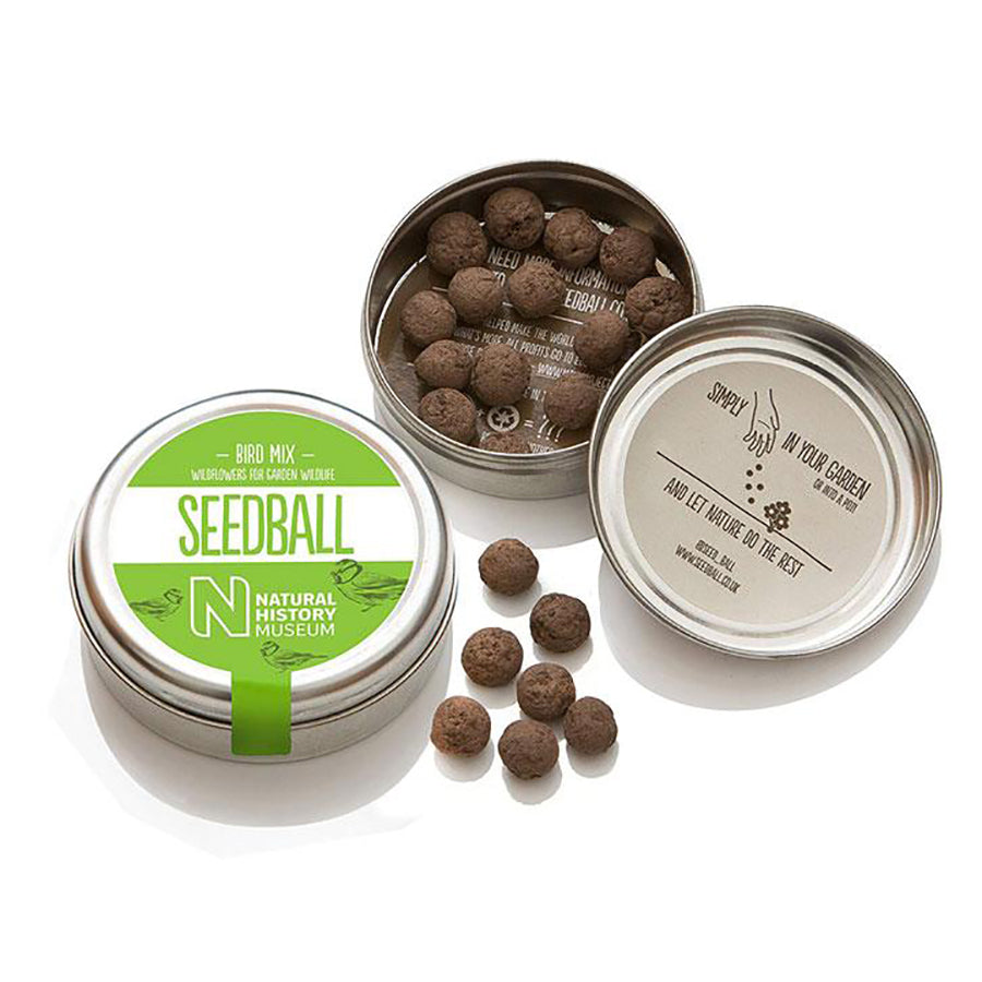 SeedBall - Bird mix