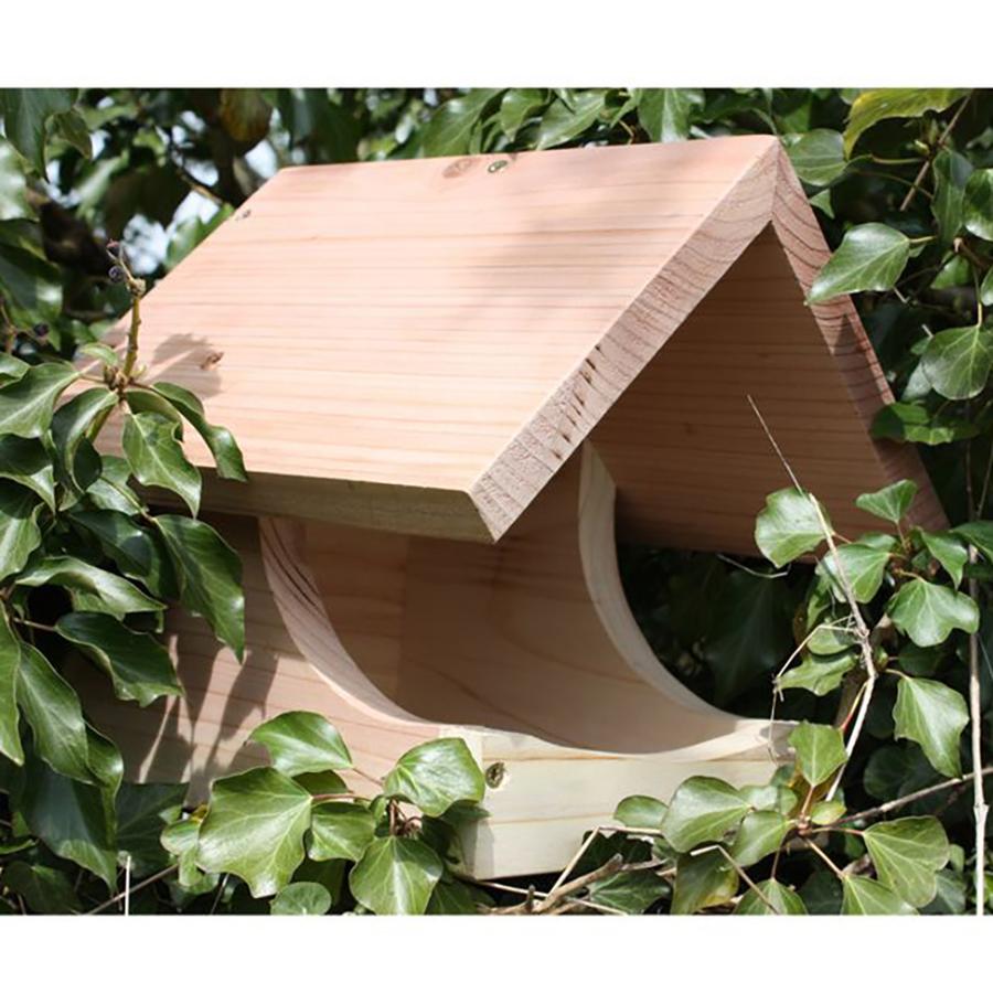 Blackbird Nest Box