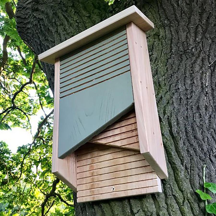 Conservation Bat Box – Gardenature