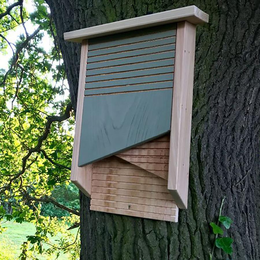 Conservation Bat Box – Gardenature