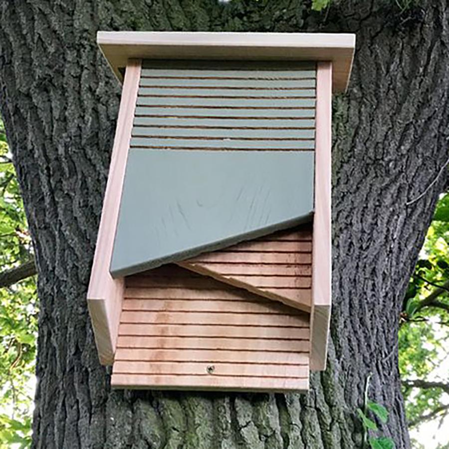 Conservation Bat Box