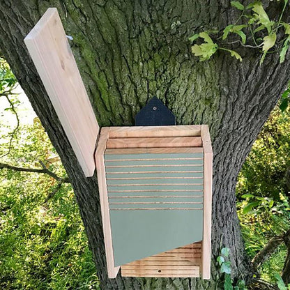 Conservation Bat Box