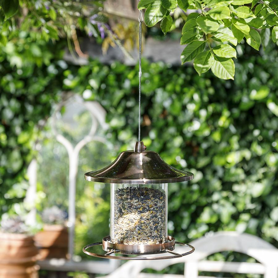 Golden Lantern Feeder