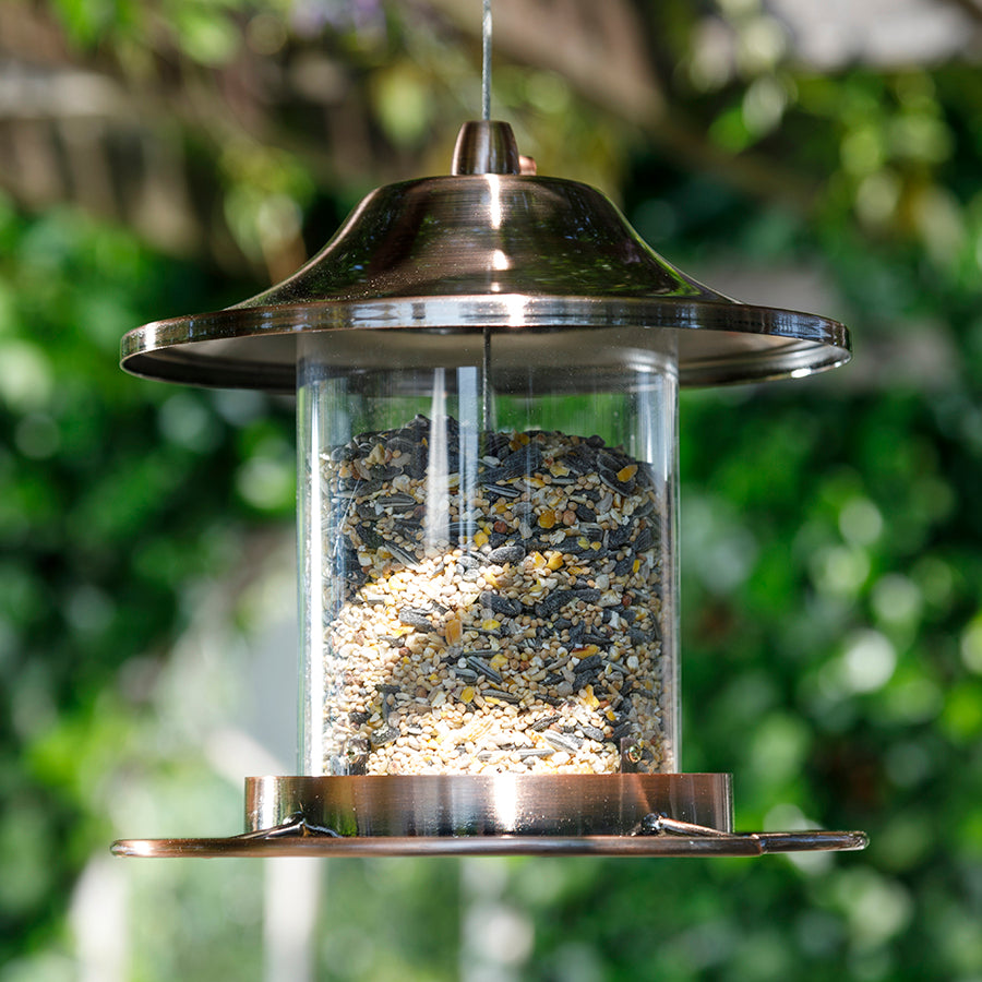 Golden Lantern Feeder