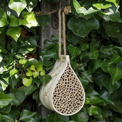 Honeydrop Solitary Beehive