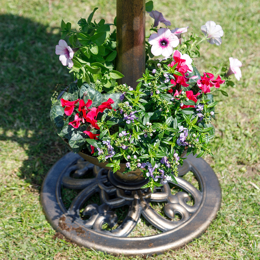 Lunar Bird Bath