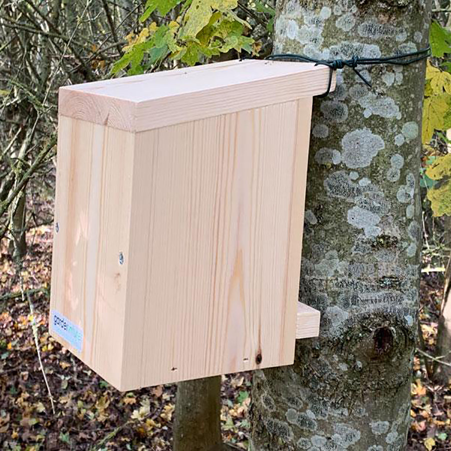 Woodland Dormouse Box