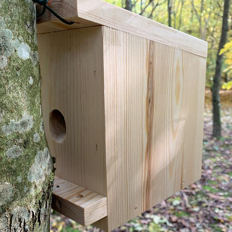 Woodland Dormouse Box