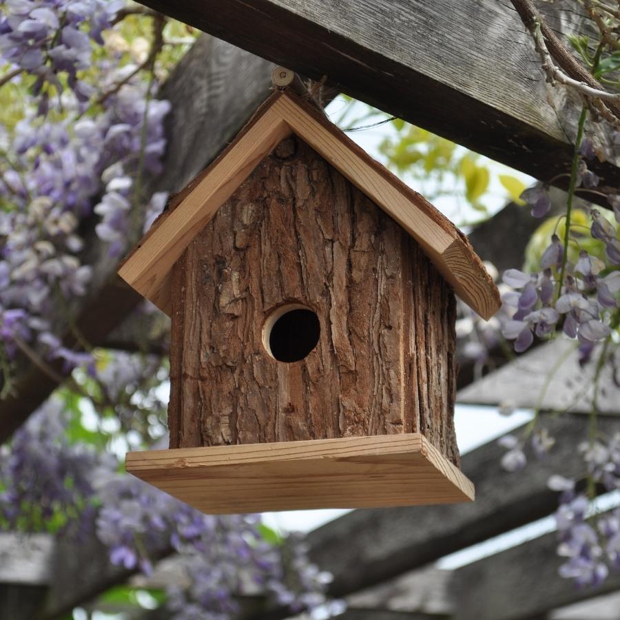 The Cabin Bird Box – Gardenature