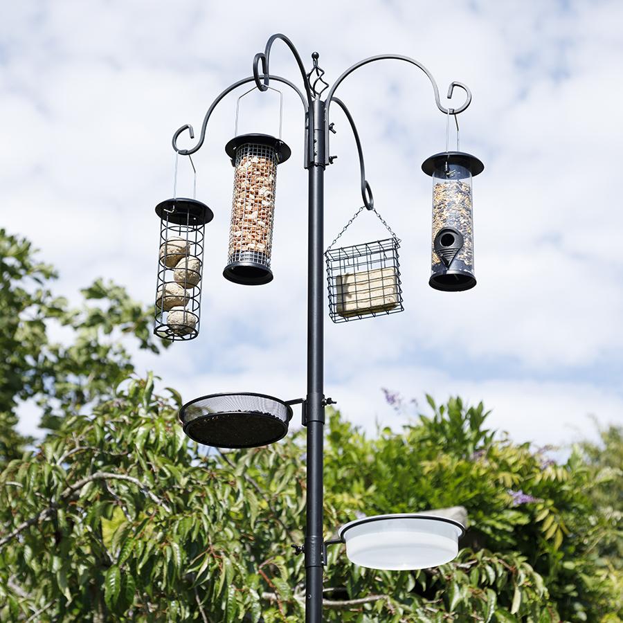 The Jester Bird Feeding Station and Feeder Set