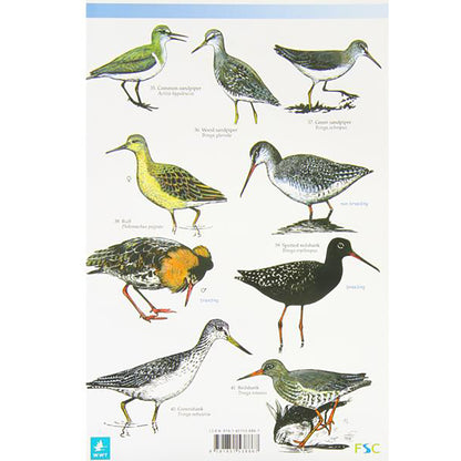 Guide To Wetland Birds